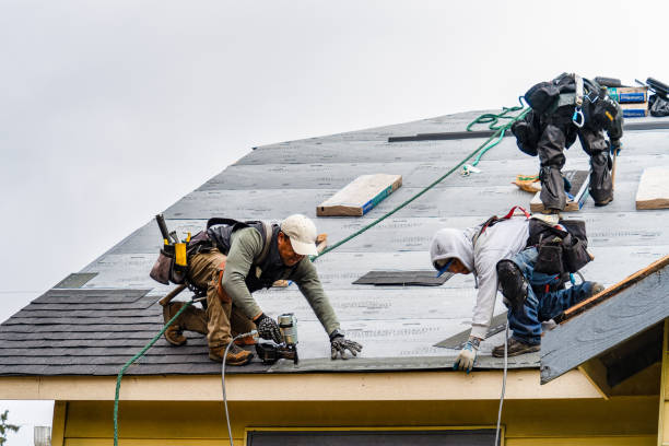 Professional Gutter Installation technician working in Fairview, TX